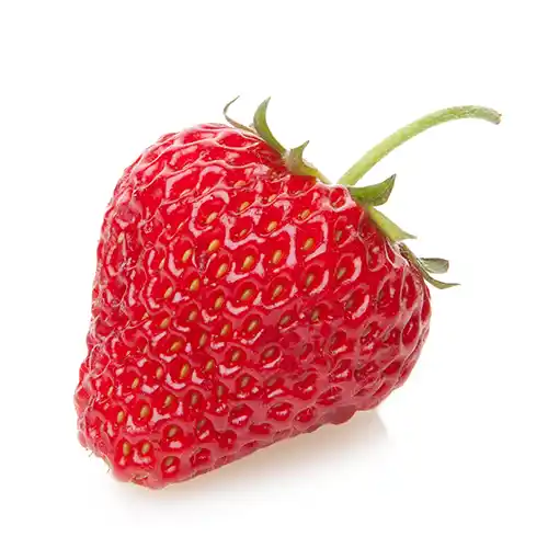 Fast & Mobile-Responsive Speed matters! Our landing pages load lightning-fast and look great on any device.