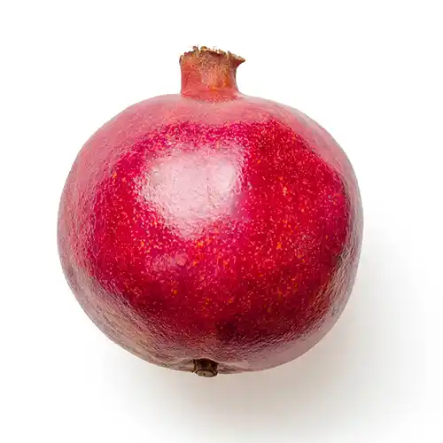 Conversion-Optimized Design Every element is strategically placed to increase leads, sales, and sign-ups.