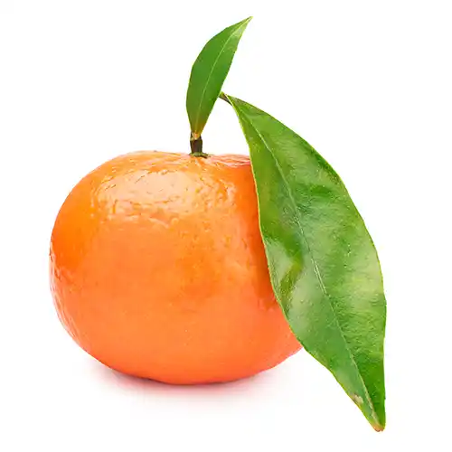 Tailor-Made for Your Campaign We design landing pages aligned with your ad strategy to engage and convert visitors.