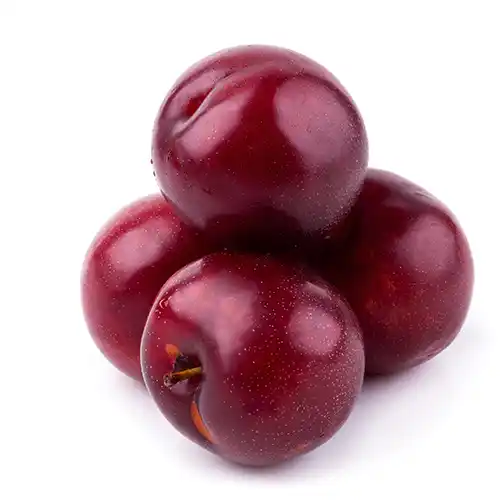 A/B Testing for Better Results We offer testing and refinements to ensure the best performance.