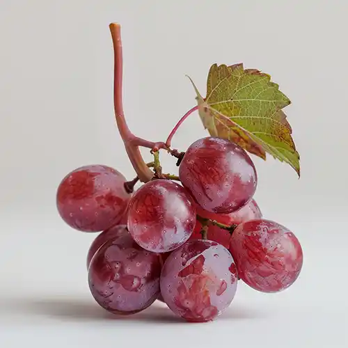 view-sweet-delicious-red-grapes | Lead Generation & Sales Pages Landing pages built to capture leads or drive direct sales with compelling copy, call-to-action (CTA), and form integration.